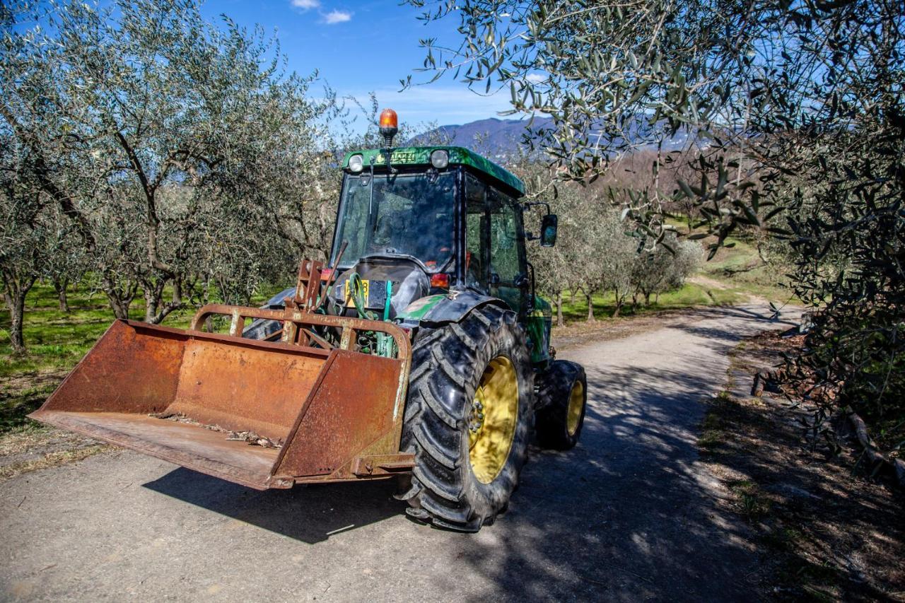 Locanda Agricola Posapiano Montecarlo Extérieur photo