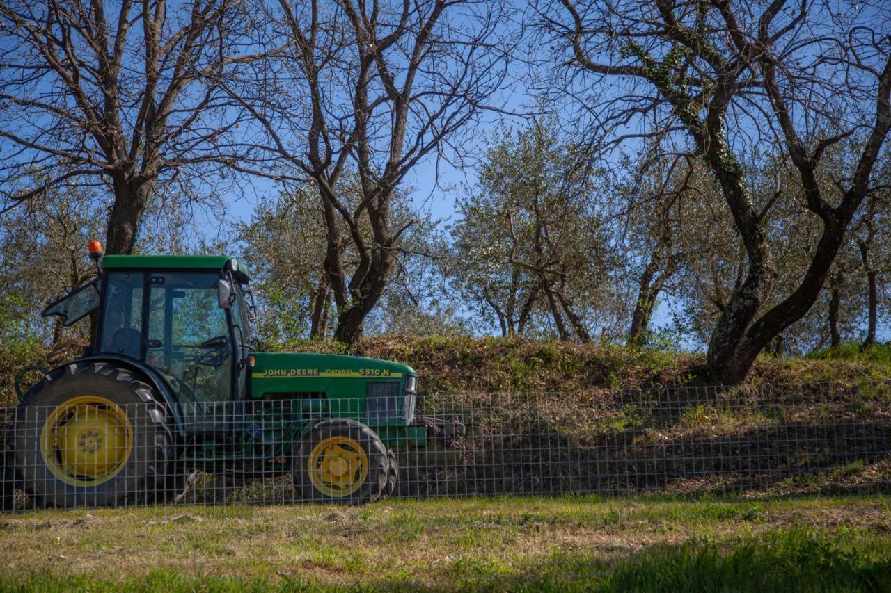 Locanda Agricola Posapiano Montecarlo Extérieur photo